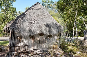 Picture of a Mexican jungle Mayan hut