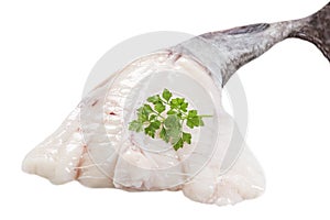 Picture of monkfish in front white background