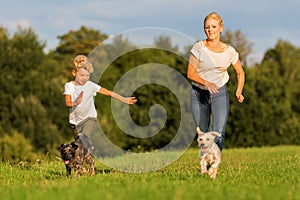 Mother runs with her boy and two small dog on a meadow