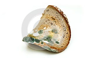 The picture of a mouldy bread