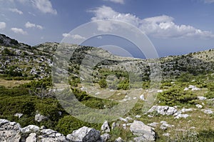 Picture of a nature park Biokovo in Croatia