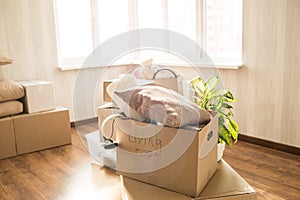Picture of overfull box. There are different clothes, stuff and other things in it. Also these is a green domestic plant photo