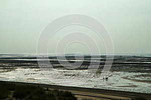 The picture from the oyster farm in Normandy