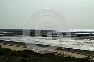 The picture from the oyster farm in Normandy