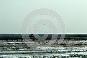 The picture from the oyster farm in Normandy