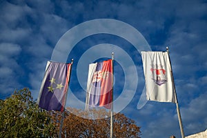 Pancevo city flag with the coat of arms of the city next to serbian flag and vojvodina flag. It\'s the official visual & photo