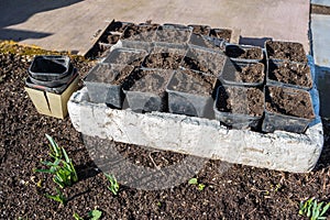 Picture of pots with flower saplings on shelf