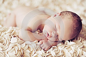 Picture presenting cute sleeping baby