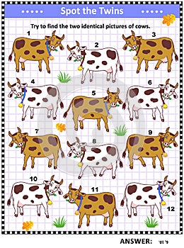Picture puzzle with spotted milk cows photo
