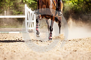 Picture of racehorse running at sand racetrack