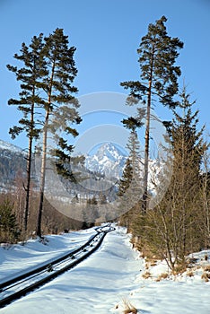 Picture on Rack Railway to hill Hrebienok
