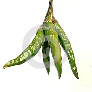 Picture of raw green pepper chilis