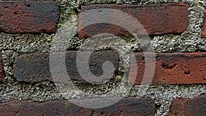 A picture of red bricks wall or batu data