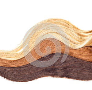 Picture of remy woman`s hair extensions in different colors isol