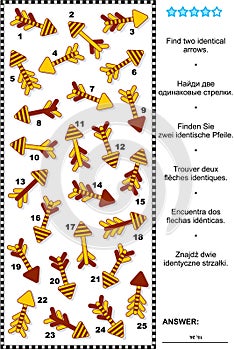 Picture riddle - find two identical arrows