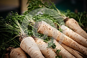 Selective blur on parsnip roots for sale on a serbian market in Belgrade. Parsnip, or pastinaca sativa, is a white vegetable root photo