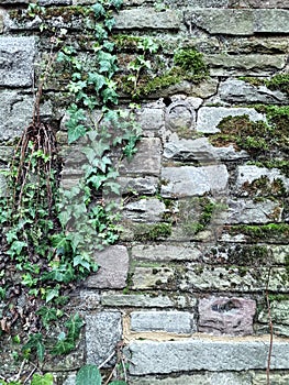 Rustic Stone wall photo