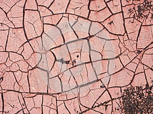 Picture of a rusty, colored metal surface