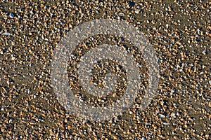 Picture of a sandstone shell.