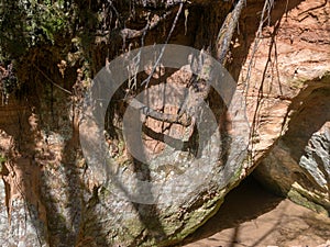 Picture with sandstone wall and tree roots