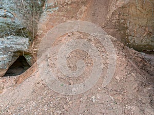 Picture with sandstone wall and tree roots