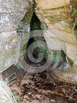 Picture with sandstone wall and tree roots