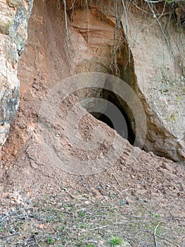 Picture with sandstone wall and tree roots