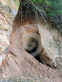 Picture with sandstone wall and tree roots