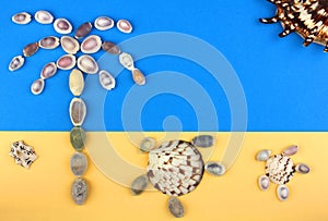 Picture of seashells, tropical beach, palm tree, turtles, sun