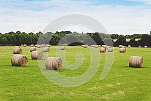 Picture of sheaves of hay in Ireland.