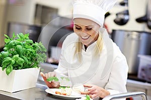 Busy chef at work in the restaurant kitchen