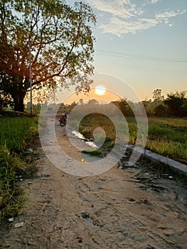 Sunset view in the fields in the evening time.