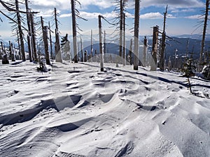 Mountain landscape with trees and detailed snow rifts photo