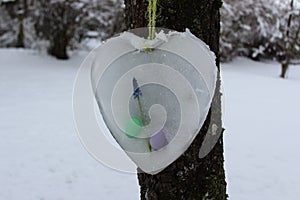 Happy easter greetings