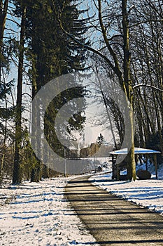 Main path through the forrest of st. poelten in winter season photo