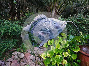 The picture shows a statue of a beautiful fish squirting water.
