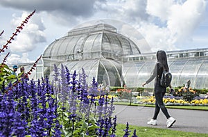 Kew Garden, the tropical greenhouse.