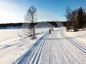 Perfect prepared slops for crosscountry skiers in Norway photo