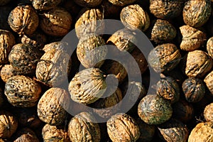 Walnuts