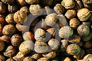Walnuts