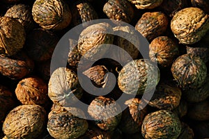Walnuts
