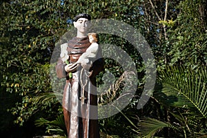 Picture of St. Anthony of Padua