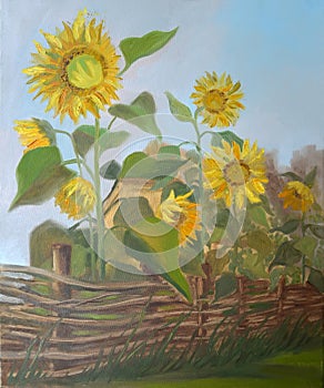 Picture Sunflowers behind a Wattle Fence. Canvas, oil