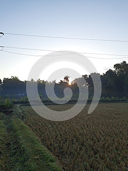 Picture of sunrise of winter morning of a village royalty free photo