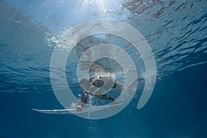 Picture of Surfing a Wave.Under Water Picture.