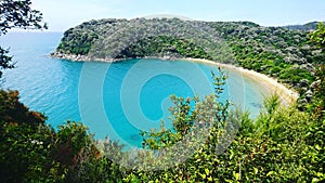 Tahuna Beach new zealand photo