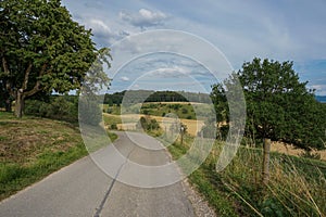 Ein bild interessiert schön sonnig Herbst grüne Wiese a 