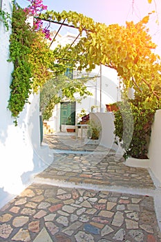 Picture taken in Greece. Greek street with a canopy