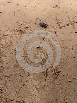 Textured surface of coarse sand