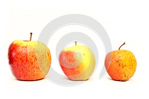 A picture of three ordinary apples, without modifications